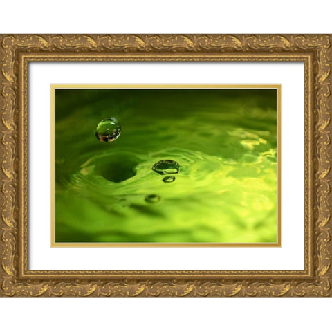 Lemon Lime Drop I Gold Ornate Wood Framed Art Print with Double Matting by Putman, Tammy