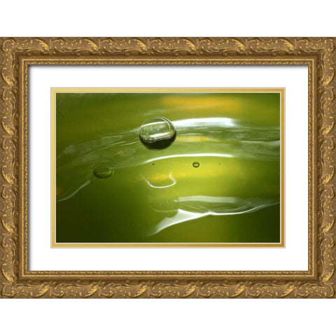 Lemon Lime Drop II Gold Ornate Wood Framed Art Print with Double Matting by Putman, Tammy