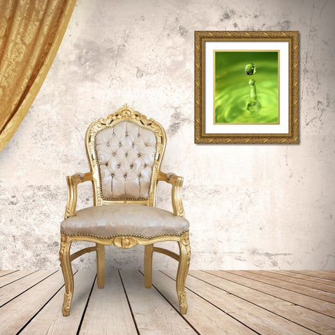 Lemon Lime Drop III Gold Ornate Wood Framed Art Print with Double Matting by Putman, Tammy