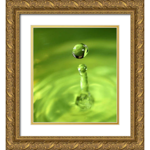 Lemon Lime Drop III Gold Ornate Wood Framed Art Print with Double Matting by Putman, Tammy
