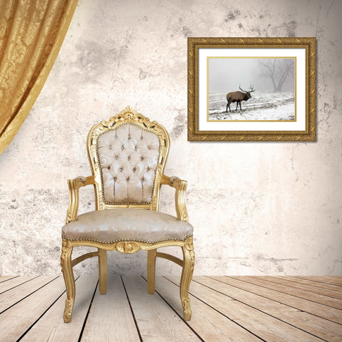 Elk III Gold Ornate Wood Framed Art Print with Double Matting by Putman, Tammy