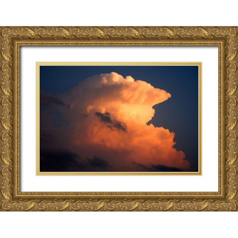 Build Up Gold Ornate Wood Framed Art Print with Double Matting by Putman, Tammy