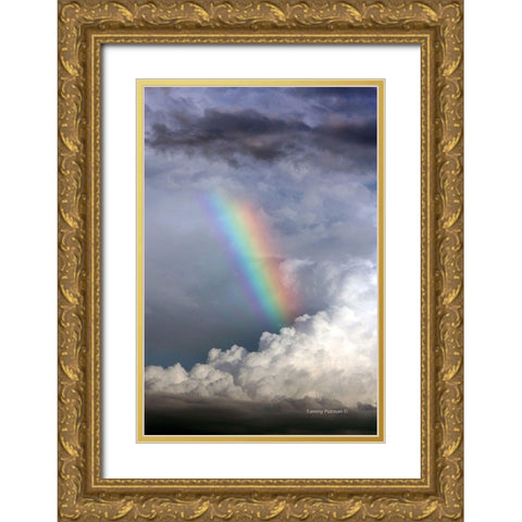 Rainbow in the Clouds Gold Ornate Wood Framed Art Print with Double Matting by Putman, Tammy