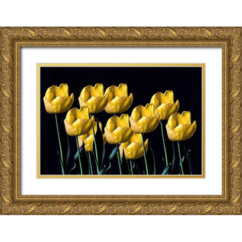 Yellow Tulips Gold Ornate Wood Framed Art Print with Double Matting by Putman, Tammy