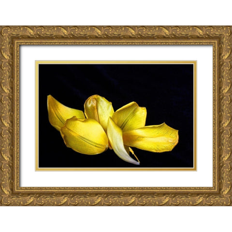 Pieces Gold Ornate Wood Framed Art Print with Double Matting by Putman, Tammy