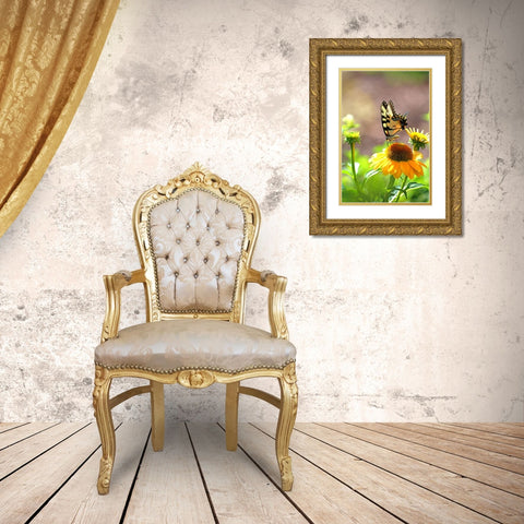 Eastern Tiger Swallowtail Lift Gold Ornate Wood Framed Art Print with Double Matting by Putman, Tammy