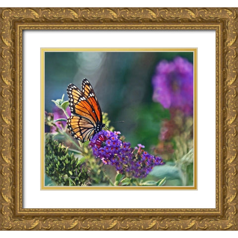 Monarch Garden II Gold Ornate Wood Framed Art Print with Double Matting by Putman, Tammy