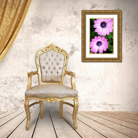 In the Middle Gold Ornate Wood Framed Art Print with Double Matting by Putman, Tammy