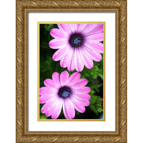 In the Middle Gold Ornate Wood Framed Art Print with Double Matting by Putman, Tammy