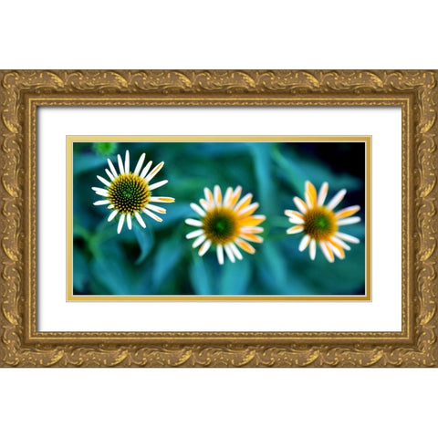 Daisy Trio Gold Ornate Wood Framed Art Print with Double Matting by Putman, Tammy