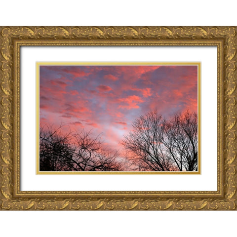 Dusk Silhouette III Gold Ornate Wood Framed Art Print with Double Matting by Putman, Tammy