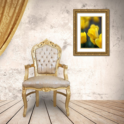 Yellow Tulips Gold Ornate Wood Framed Art Print with Double Matting by Putman, Tammy