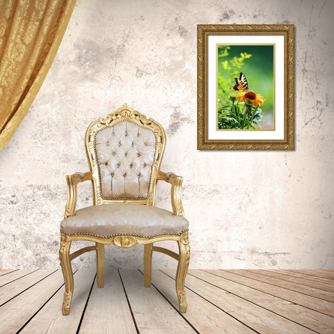 Eastern Tiger Swallowtail Gold Ornate Wood Framed Art Print with Double Matting by Putman, Tammy