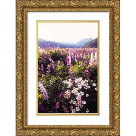 Russell Lupin II Gold Ornate Wood Framed Art Print with Double Matting by Stefko, Bob