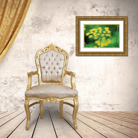 Blooming Dill Gold Ornate Wood Framed Art Print with Double Matting by Stefko, Bob