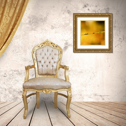 Simple Organics II Gold Ornate Wood Framed Art Print with Double Matting by Stefko, Bob