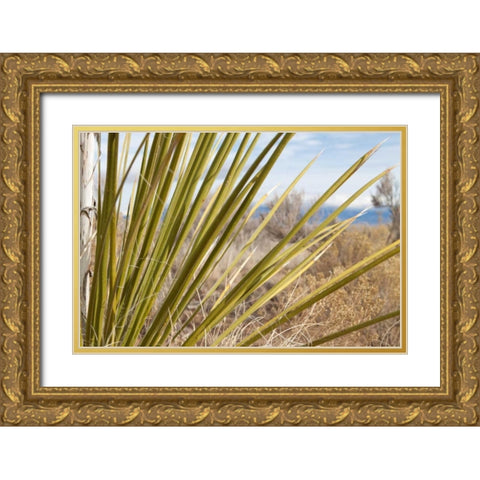 Century Plant II Gold Ornate Wood Framed Art Print with Double Matting by Styber, Dana