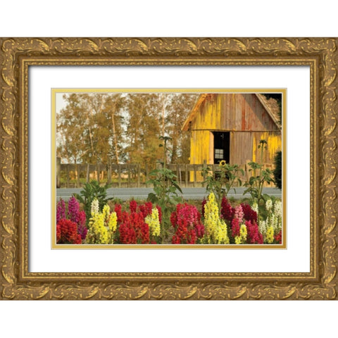 Snapdragons Barn II Gold Ornate Wood Framed Art Print with Double Matting by Styber, Dana