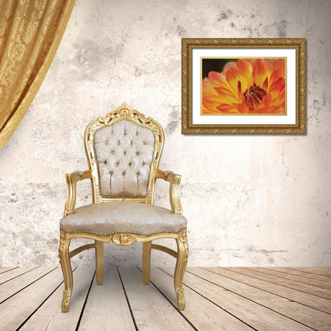 Orange Flame Gold Ornate Wood Framed Art Print with Double Matting by Styber, Dana
