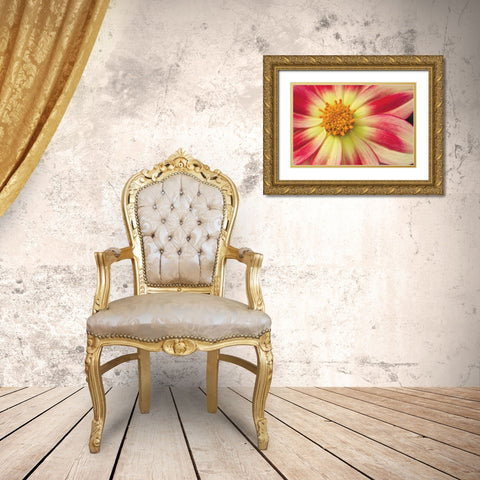 Starburst III Gold Ornate Wood Framed Art Print with Double Matting by Styber, Dana