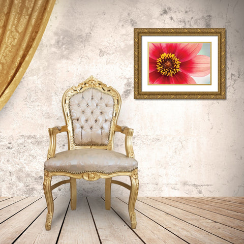 Starburst IV Gold Ornate Wood Framed Art Print with Double Matting by Styber, Dana