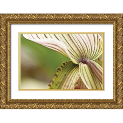 Green Mist Gold Ornate Wood Framed Art Print with Double Matting by Styber, Dana