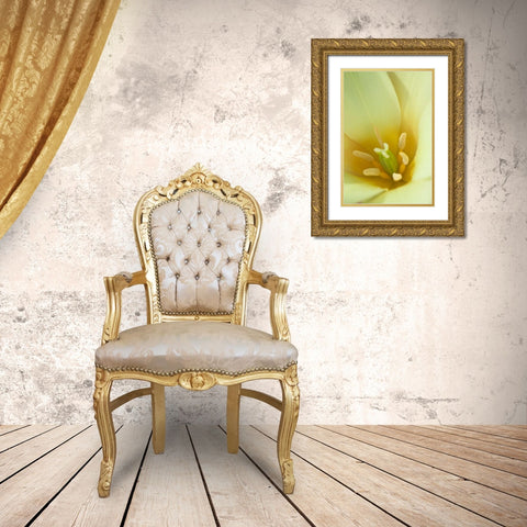 Yellow Burst I Gold Ornate Wood Framed Art Print with Double Matting by Styber, Dana