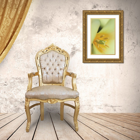 Yellow Burst II Gold Ornate Wood Framed Art Print with Double Matting by Styber, Dana