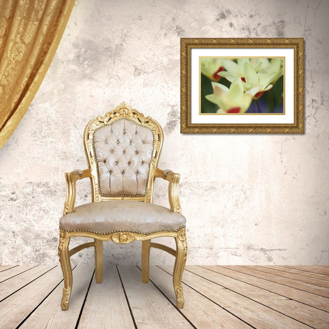 Yellow Cream I Gold Ornate Wood Framed Art Print with Double Matting by Styber, Dana