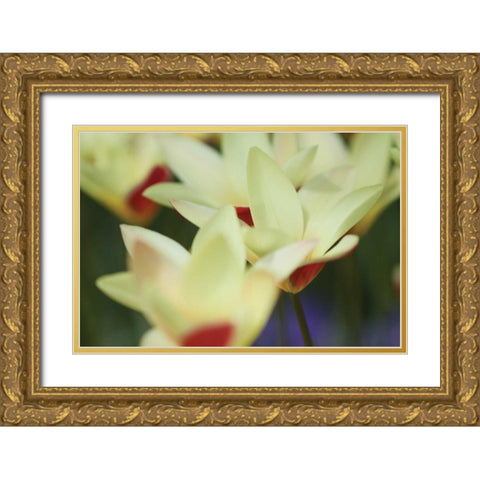 Yellow Cream I Gold Ornate Wood Framed Art Print with Double Matting by Styber, Dana