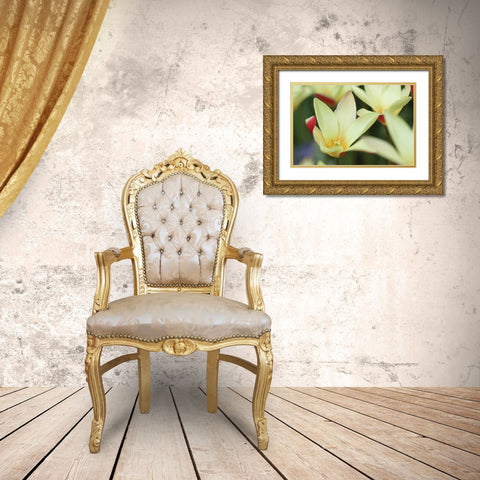 Yellow Cream II Gold Ornate Wood Framed Art Print with Double Matting by Styber, Dana
