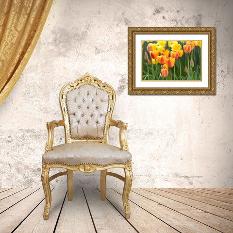 Tulip March II Gold Ornate Wood Framed Art Print with Double Matting by Styber, Dana