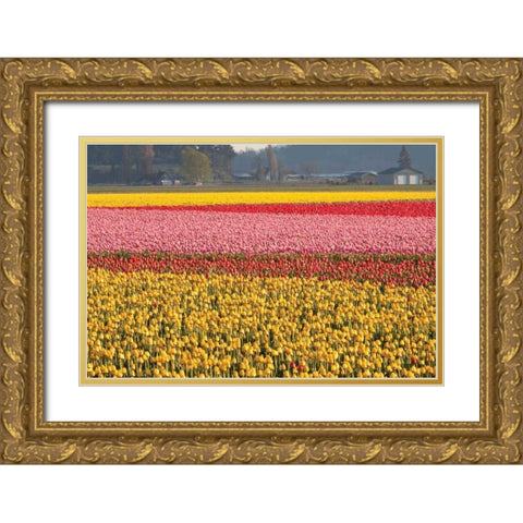 Reds Pinksand Yellows Gold Ornate Wood Framed Art Print with Double Matting by Styber, Dana