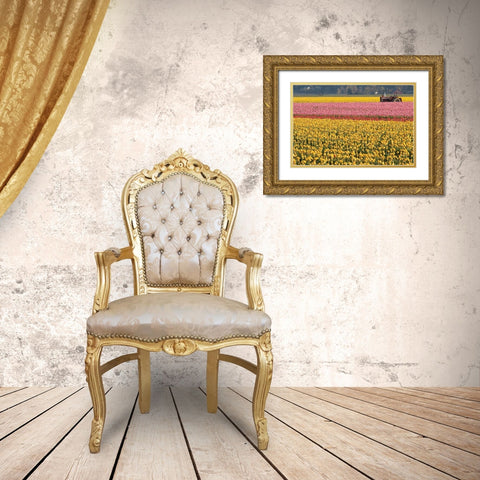 Tractor and Tulips I Gold Ornate Wood Framed Art Print with Double Matting by Styber, Dana