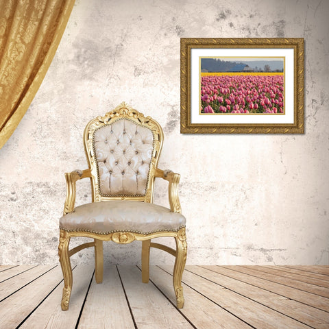 In the Pink Gold Ornate Wood Framed Art Print with Double Matting by Styber, Dana