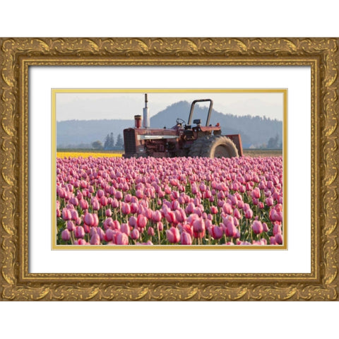 Tractor and Tulips II Gold Ornate Wood Framed Art Print with Double Matting by Styber, Dana