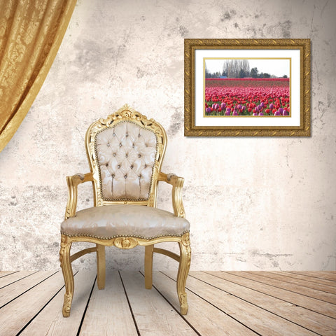 Hill of Pink Gold Ornate Wood Framed Art Print with Double Matting by Styber, Dana