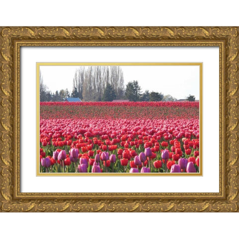 Hill of Pink Gold Ornate Wood Framed Art Print with Double Matting by Styber, Dana