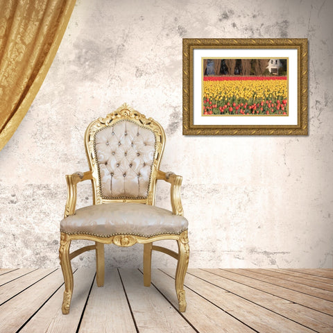 Red and Orange Tulips Gold Ornate Wood Framed Art Print with Double Matting by Styber, Dana