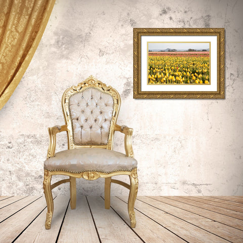 Yellow and Orange Tulips III Gold Ornate Wood Framed Art Print with Double Matting by Styber, Dana