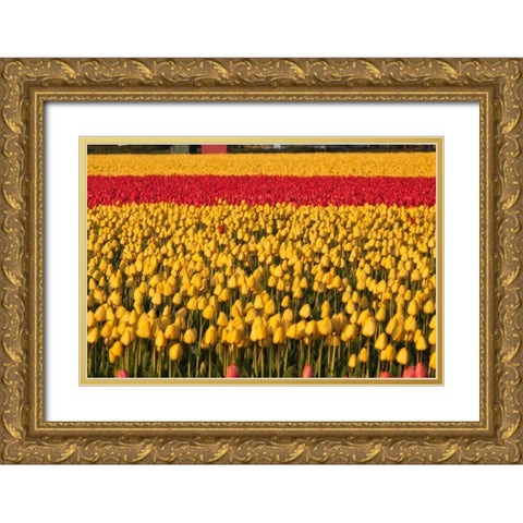 Band of Red Gold Ornate Wood Framed Art Print with Double Matting by Styber, Dana