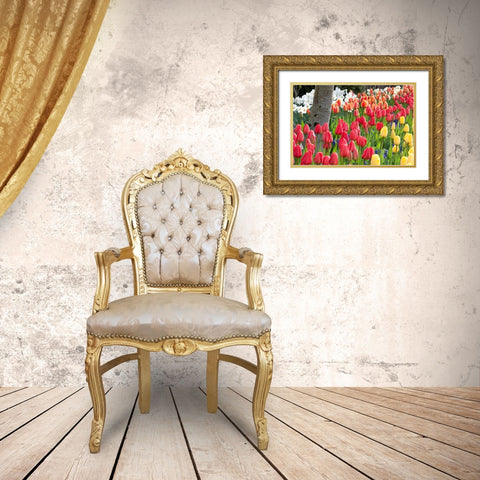 Tulip Bed I Gold Ornate Wood Framed Art Print with Double Matting by Styber, Dana
