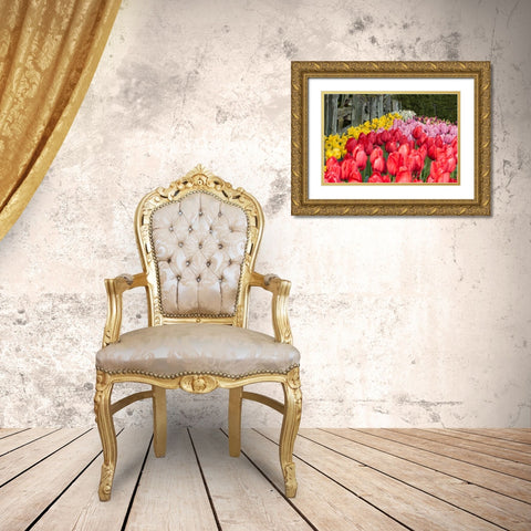 Tulip Bed II Gold Ornate Wood Framed Art Print with Double Matting by Styber, Dana