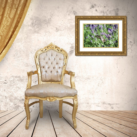 Lavender and Butterfly I Gold Ornate Wood Framed Art Print with Double Matting by Styber, Dana