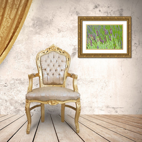 Lavender Sway I Gold Ornate Wood Framed Art Print with Double Matting by Styber, Dana