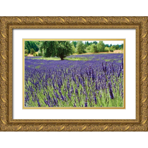 Lavender Field I Gold Ornate Wood Framed Art Print with Double Matting by Styber, Dana