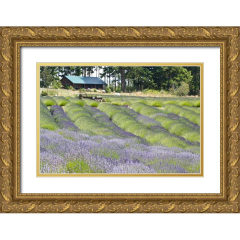 Lavender Hill I Gold Ornate Wood Framed Art Print with Double Matting by Styber, Dana
