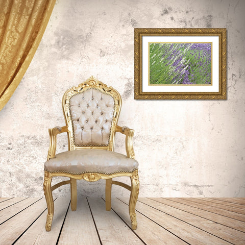 Flowing Lavender II Gold Ornate Wood Framed Art Print with Double Matting by Styber, Dana