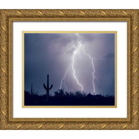 Electric Desert I Gold Ornate Wood Framed Art Print with Double Matting by Taylor, Douglas
