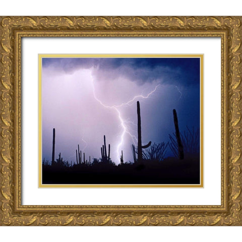Electric Desert II Gold Ornate Wood Framed Art Print with Double Matting by Taylor, Douglas